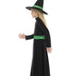 Wicked Witch Costume Alternative View 1.jpg